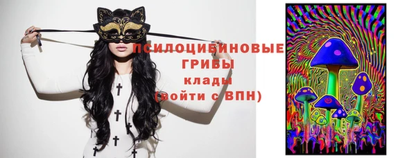 Альфа ПВП Аркадак