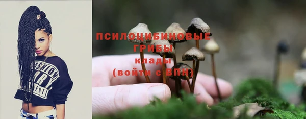 СК Арсеньев